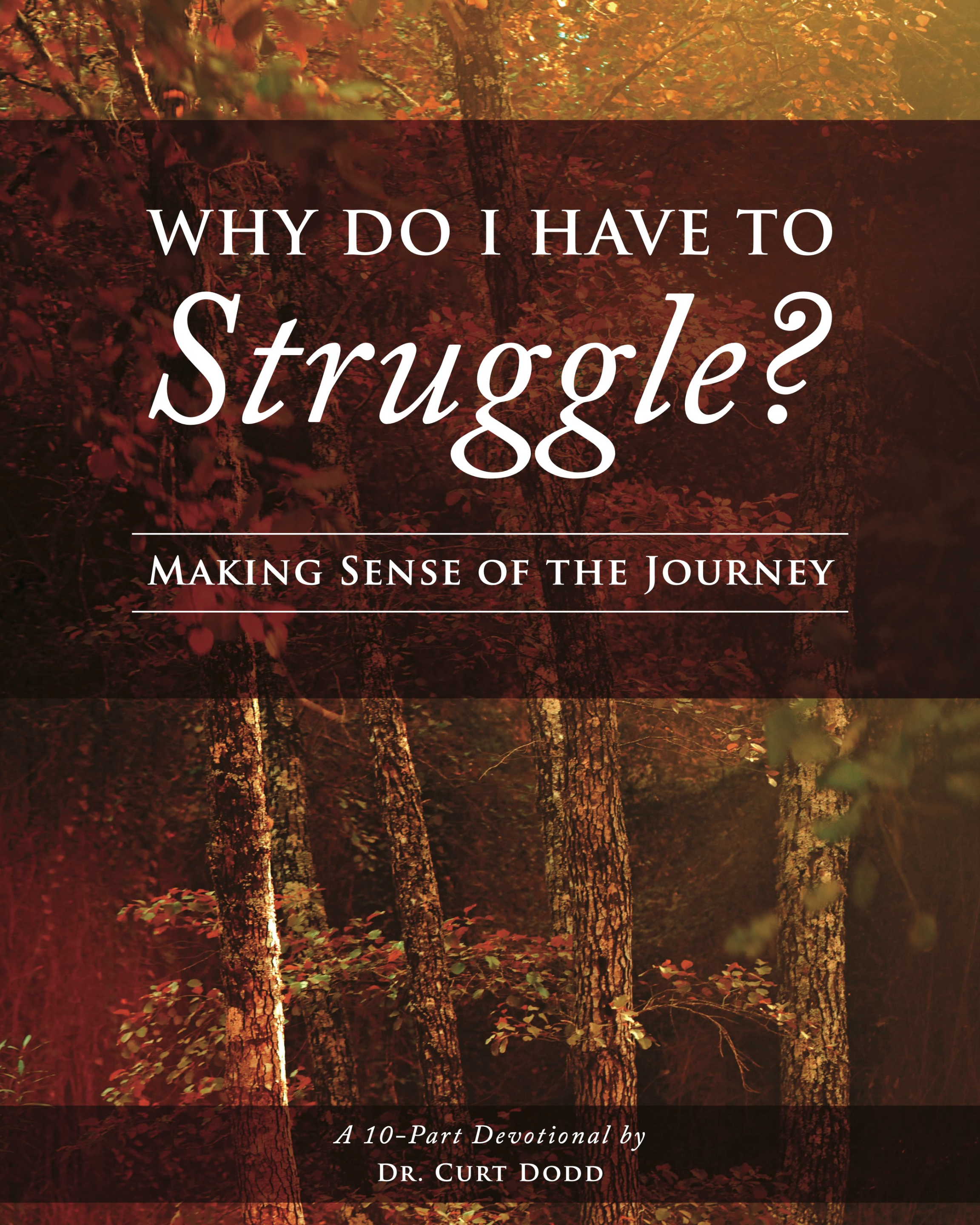 Struggle Book